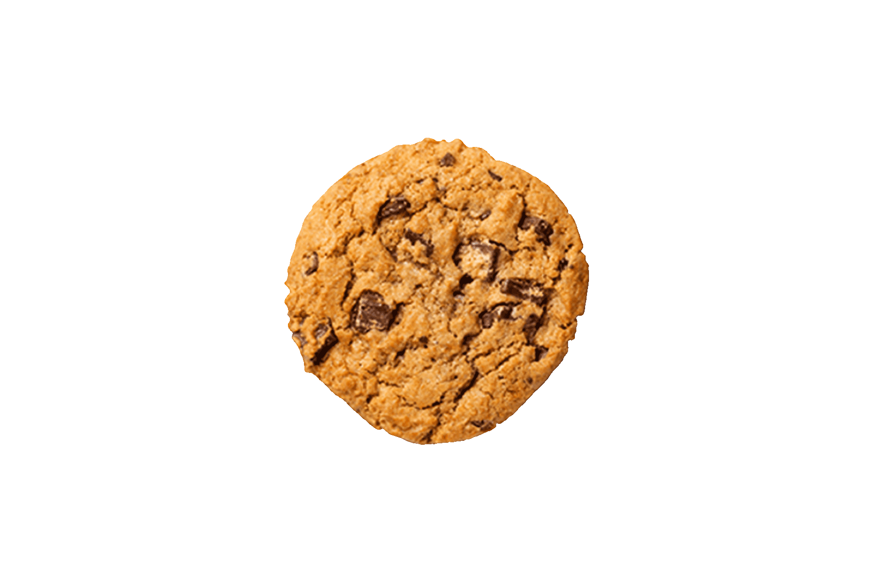 Cookie Chocolate Chip